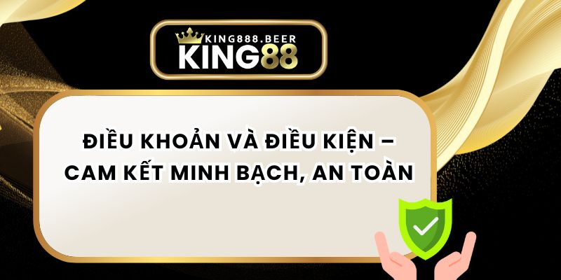 Điều Khoản Và Điều Kiện – Cam Kết Minh Bạch, An Toàn