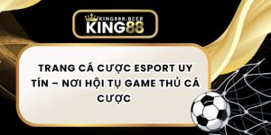 Trang Cá Cược Esport Uy Tín – Nơi Hội Tụ Game Thủ Cá Cược