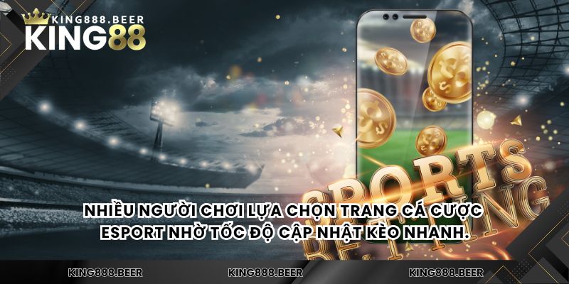 Nhiều người chơi lựa chọn trang cá cược Esport nhờ tốc độ cập nhật kèo nhanh.