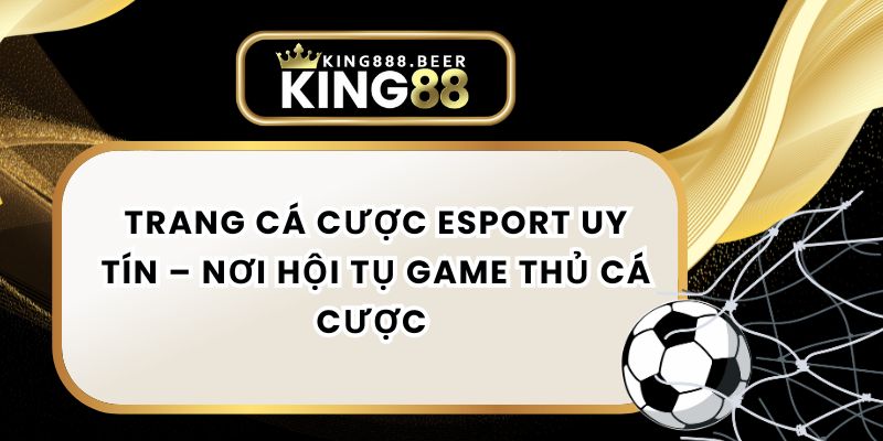 Trang Cá Cược Esport Uy Tín – Nơi Hội Tụ Game Thủ Cá Cược